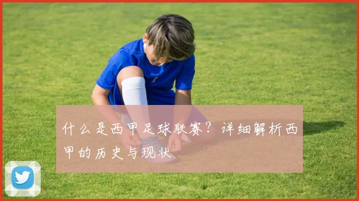 什么是西甲足球联赛？详细解析西甲的历史与现状