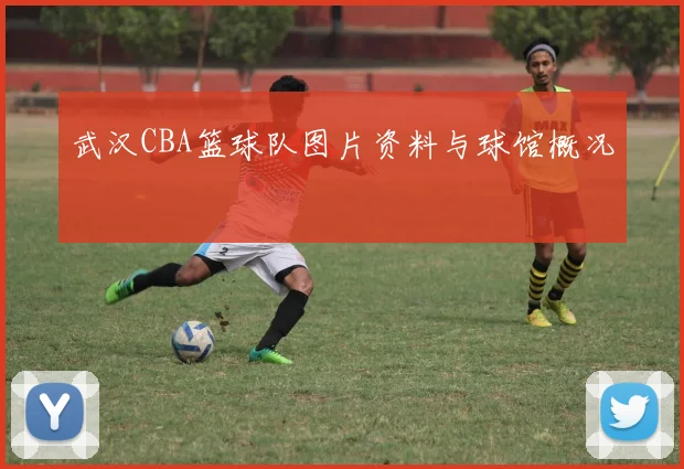 武汉CBA篮球队图片资料与球馆概况