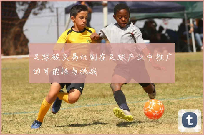 足球碳交易机制在足球产业中推广的可能性与挑战